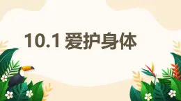 10.1 愛護(hù)身體——初中道德與法治統(tǒng)編版（2024）七年級上冊教學(xué)課件