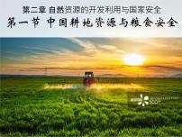 地理选择性必修3 资源、环境与国家安全第一节 中国耕地资源与粮食安全背景图课件ppt