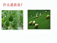 湘教版高一地理必修二第三章《3.21農(nóng)業(yè)區(qū)位因素》PPT課件