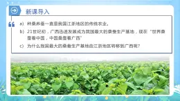 【核心素養(yǎng)】3.1《農(nóng)業(yè)區(qū)位因素及其變化》課件+練習（含答案解析）人教版高中地理必修二