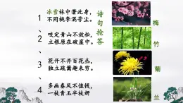托物寄情--美術(shù)作品與藝術(shù)家人生經(jīng)歷的關(guān)系第三單元第三課 高中美術(shù)湘美版（2019）  (精品課課件)