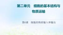 2022版新教材高考生物一輪復(fù)習(xí)第2單元細(xì)胞的基本結(jié)構(gòu)與物質(zhì)運(yùn)輸?shù)?課細(xì)胞的物質(zhì)輸入和輸出課件新人教版