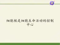 高中生物浙科版（2019）必修一2.4細(xì)胞核是細(xì)胞生命活動的控制中心 課件