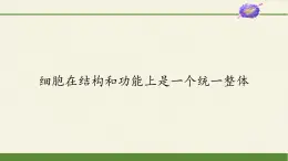 細(xì)胞在結(jié)構(gòu)和功能上是一個統(tǒng)一整體PPT課件免費下載