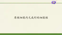 高中生物浙科版（2019）必修一2.6原核細(xì)胞內(nèi)無成形的細(xì)胞核 課件