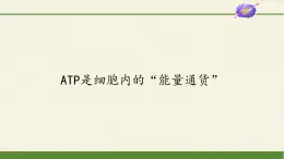 ATP是細(xì)胞內(nèi)的“能量通貨”PPT課件免費下載