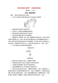 高中生物人教版 (2019)選擇性必修1第2章 神經(jīng)調(diào)節(jié)第4節(jié) 神經(jīng)系統(tǒng)的分級(jí)調(diào)節(jié)課時(shí)作業(yè)
