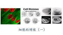 人教版 (2019)必修1《分子与细胞》第1节 细胞的增殖课前预习ppt课件