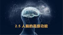 2020-2021学年第5节 人脑的高级功能图文课件ppt