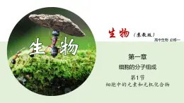 細(xì)胞中的元素和無機(jī)化合物PPT課件免費(fèi)下載