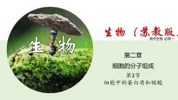 細(xì)胞中的蛋白質(zhì)和核酸PPT課件免費(fèi)下載
