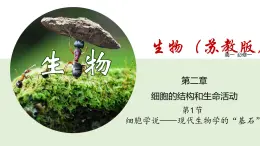 細(xì)胞學(xué)說——現(xiàn)代生物學(xué)的“基石”PPT課件免費(fèi)下載