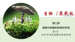 生命活動(dòng)需要酶和能源物質(zhì)PPT課件免費(fèi)下載