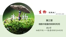 細(xì)胞呼吸——能量的轉(zhuǎn)化和利用PPT課件免費(fèi)下載