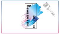 高中生物人教版 (2019)必修2《遗传与进化》第1节 DNA是主要的遗传物质教课内容ppt课件