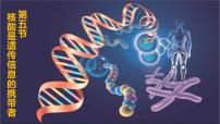 生物必修1《分子与细胞》第5节 核酸是遗传信息的携带者说课ppt课件