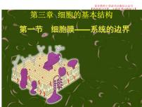高中生物人教版 (2019)必修1《分子与细胞》第1节 细胞膜的结构和功能课文配套ppt课件