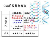 生物必修2《遗传与进化》第3章 基因的本质第3节 DNA的复制集体备课ppt课件