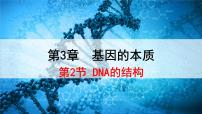 高中生物人教版 (2019)必修2《遗传与进化》第2节 DNA的结构集体备课课件ppt