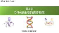 高中生物人教版 (2019)必修2《遗传与进化》第1节 DNA是主要的遗传物质评课课件ppt