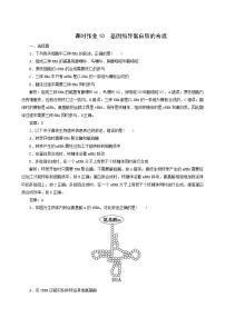 高中生物人教版 (2019)必修2《遺傳與進(jìn)化》第4章 基因的表達(dá)第1節(jié) 基因指導(dǎo)蛋白質(zhì)的合成課時(shí)作業(yè)