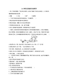 人教版 (2019)選擇性必修1第2章 神經(jīng)調(diào)節(jié)第4節(jié) 神經(jīng)系統(tǒng)的分級(jí)調(diào)節(jié)達(dá)標(biāo)測試