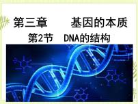 高中生物人教版 (2019)必修2《遗传与进化》第2节 DNA的结构优质ppt课件