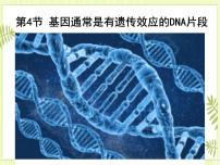 人教版 (2019)必修2《遗传与进化》第3章 基因的本质第4节 基因通常是有遗传效应的DNA片段优质课件ppt