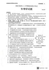 2023日照高三上學期第一次校际联考试题生物PDF版含答案