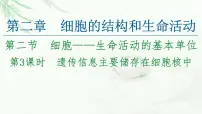 苏教版 (2019)必修1《分子与细胞》第三节 物质进出细胞的运输方式教案配套ppt课件