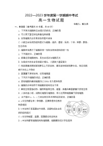 安徽省怀宁县第二中学2022-2023学年高一上学期期中生物试题（含答案）