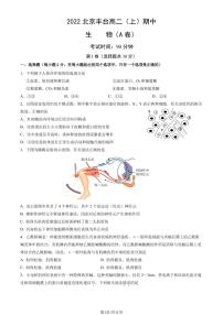 2022-2023学年北京丰台高二（上）期中生物A卷试题及答案
