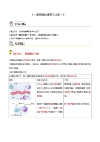 高中生物人教版 (2019)必修1《分子与细胞》第1节 细胞膜的结构和功能第1课时学案