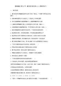 人教版 (2019)必修2《遺傳與進化》第2節(jié) 基因在染色體上課時練習