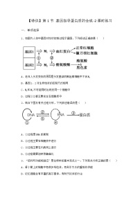 生物第4章 基因的表達(dá)第1節(jié) 基因指導(dǎo)蛋白質(zhì)的合成當(dāng)堂達(dá)標(biāo)檢測題