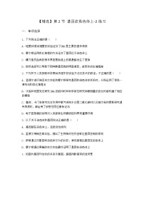 高中生物人教版 (2019)必修2《遺傳與進化》第2節(jié) 基因在染色體上課時作業(yè)