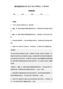 2022-2023学年湖北省武汉市六中高二10月月考生物试题含解析