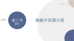 第一章- 第三節(jié) 細(xì)胞中的蛋白質(zhì)和核酸 課時(shí)1（課件PPT）
