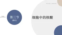 第一章- 第三節(jié) 細(xì)胞中的蛋白質(zhì)和核酸 課時(shí)2（課件PPT）