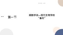 蘇教版 (2019)必修1《分子與細胞》第一節(jié) 細胞學(xué)說——現(xiàn)代生物學(xué)的“基石”精品課件ppt