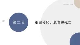 第四章- 第二節(jié)  細(xì)胞分化、衰老和死亡（課件PPT）
