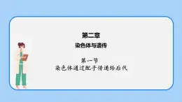 第二章 第一节 染色体通过配子传递给后代高一生物课件+练习（原卷+解析卷）（浙科版2019必修2）