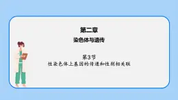 第二章 第三节  性染色体上基因的传递和性别相关联高一生物课件+练习（原卷+解析卷）（浙科版2019必修2）
