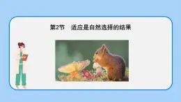 第五章 第二节 适应是自然选择的结果（课时2）-高一生物课件（浙科版2019必修2）