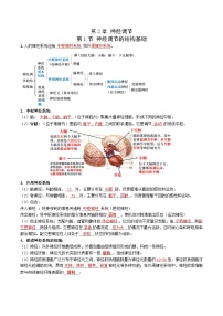 第2章 神經(jīng)調(diào)節(jié)——【期末復(fù)習(xí)】高二上學(xué)期生物章節(jié)知識(shí)點(diǎn)梳理（人教版2019選擇性必修1）