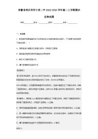 2022-2023学年安徽省安庆市怀宁县二中高二上学期期末生物试题含解析