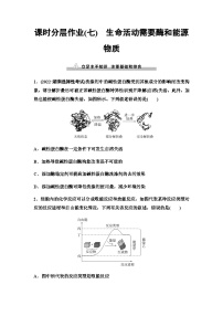 2024屆蘇教版高考生物一輪復(fù)習(xí)生命活動需要酶和能源物質(zhì)作業(yè)含答案