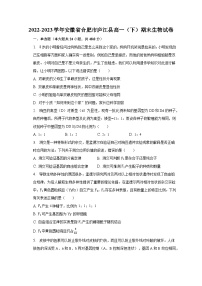 2022-2023学年安徽省合肥市庐江县高一（下）期末生物试卷（含解析）