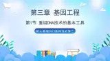 3.1 重组DNA技术的基本工具  课件+作业（原卷+解析卷）+素材（新人教版2019选择性必修3-高二生物）