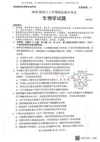 2023届山东省日照市高三上學期第一次校际联考生物试题